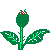 fleur